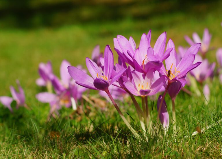 ©skorpionik00-stock.adobe.com