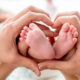 ©demchyna-stock.adobe.com