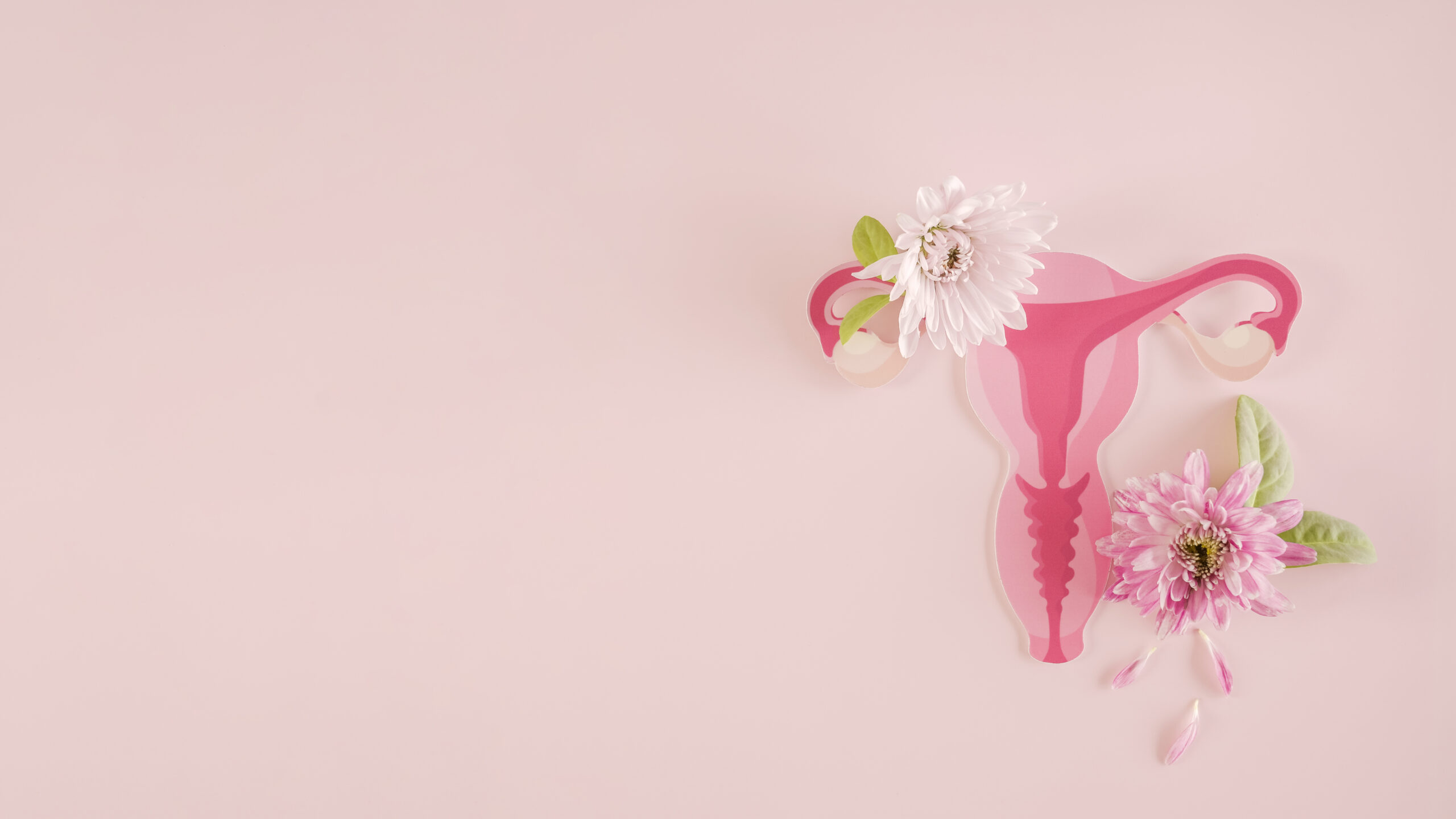 ©SewcreamStudio-stock.adobe.com