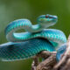 ©Deki-stock.adobe.com