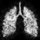 Rauch oder Dampf in Form einer Lunge