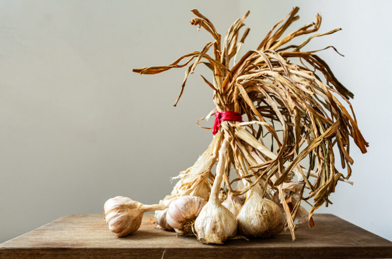 ©onThanh-stock.adobe.com