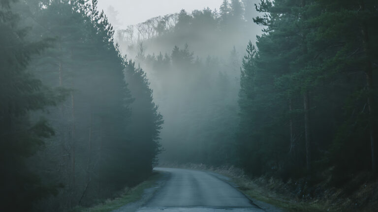 ©Creative Assets Hub-stock.adobe.com