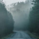 ©Creative Assets Hub-stock.adobe.com