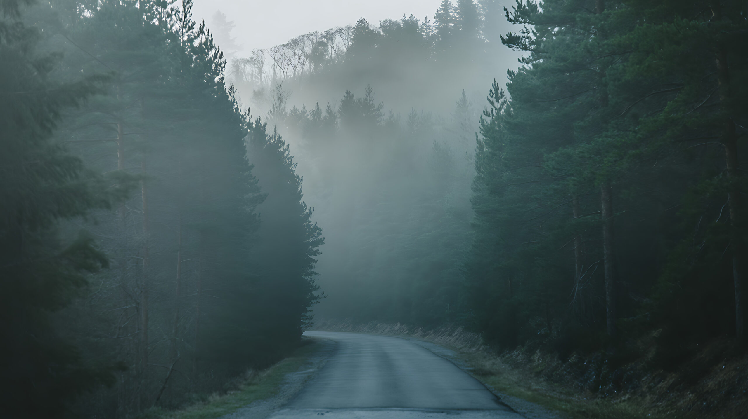 ©Creative Assets Hub-stock.adobe.com