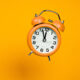 © Banu Sevim-stock.adobe.com