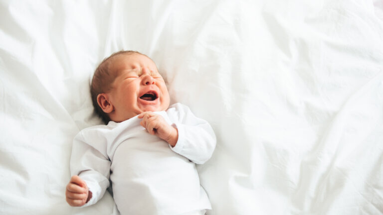 ©Milos Vucicevic-stock.adobe.com