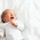 ©Milos Vucicevic-stock.adobe.com