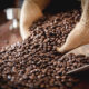 ©Tinnakorn-stock.adobe.com