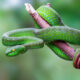 ©Narupon-stock.adobe.com